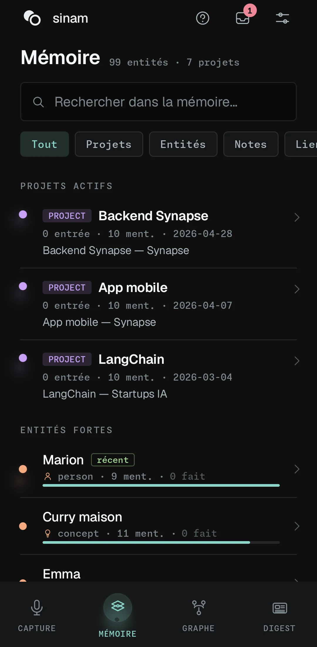 L'onglet Mémoire de sinam : la recherche, les six vues, les projets actifs et les entités fortes.